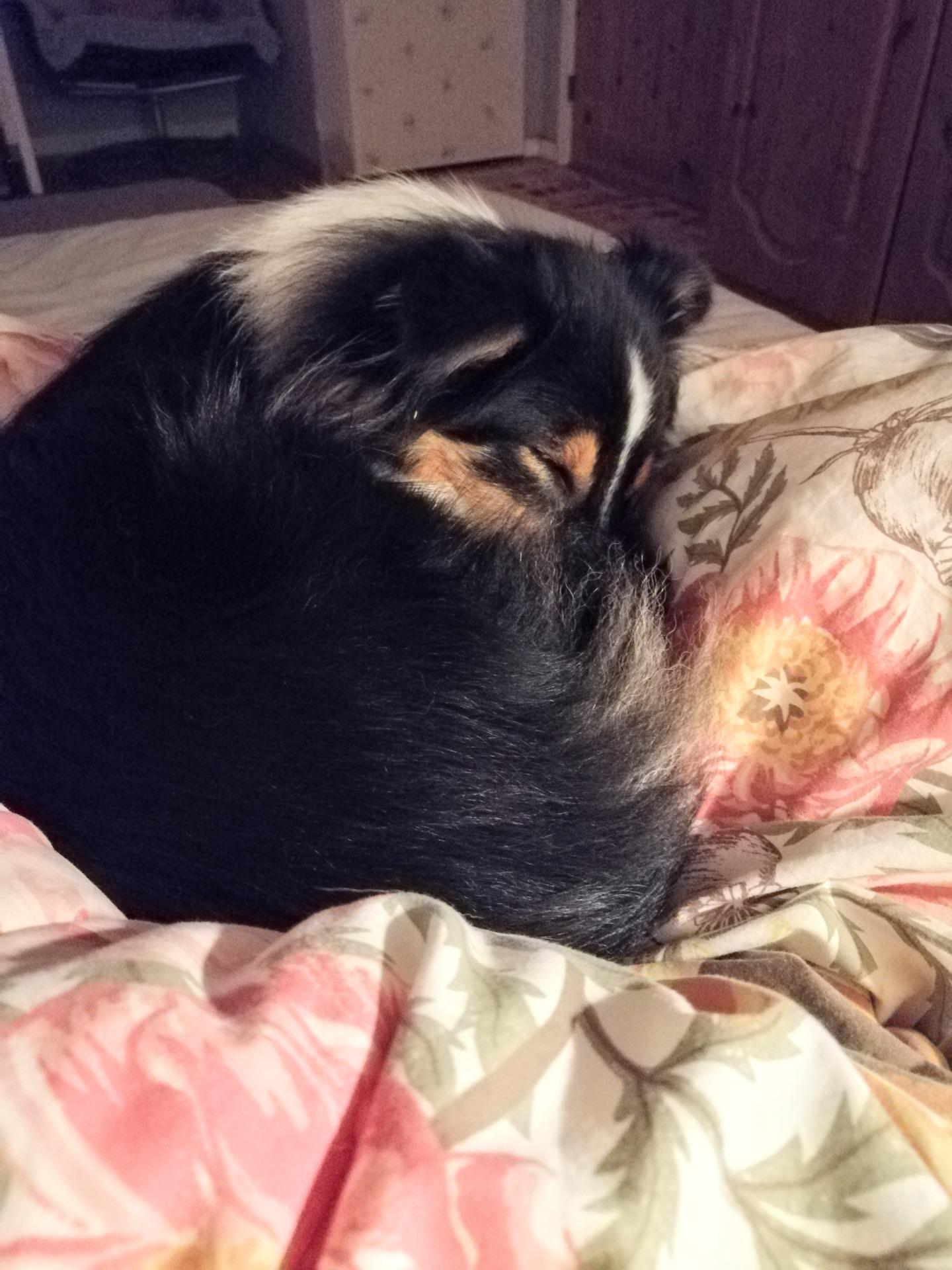 Sonja kurar ihop sig i mammisens säng