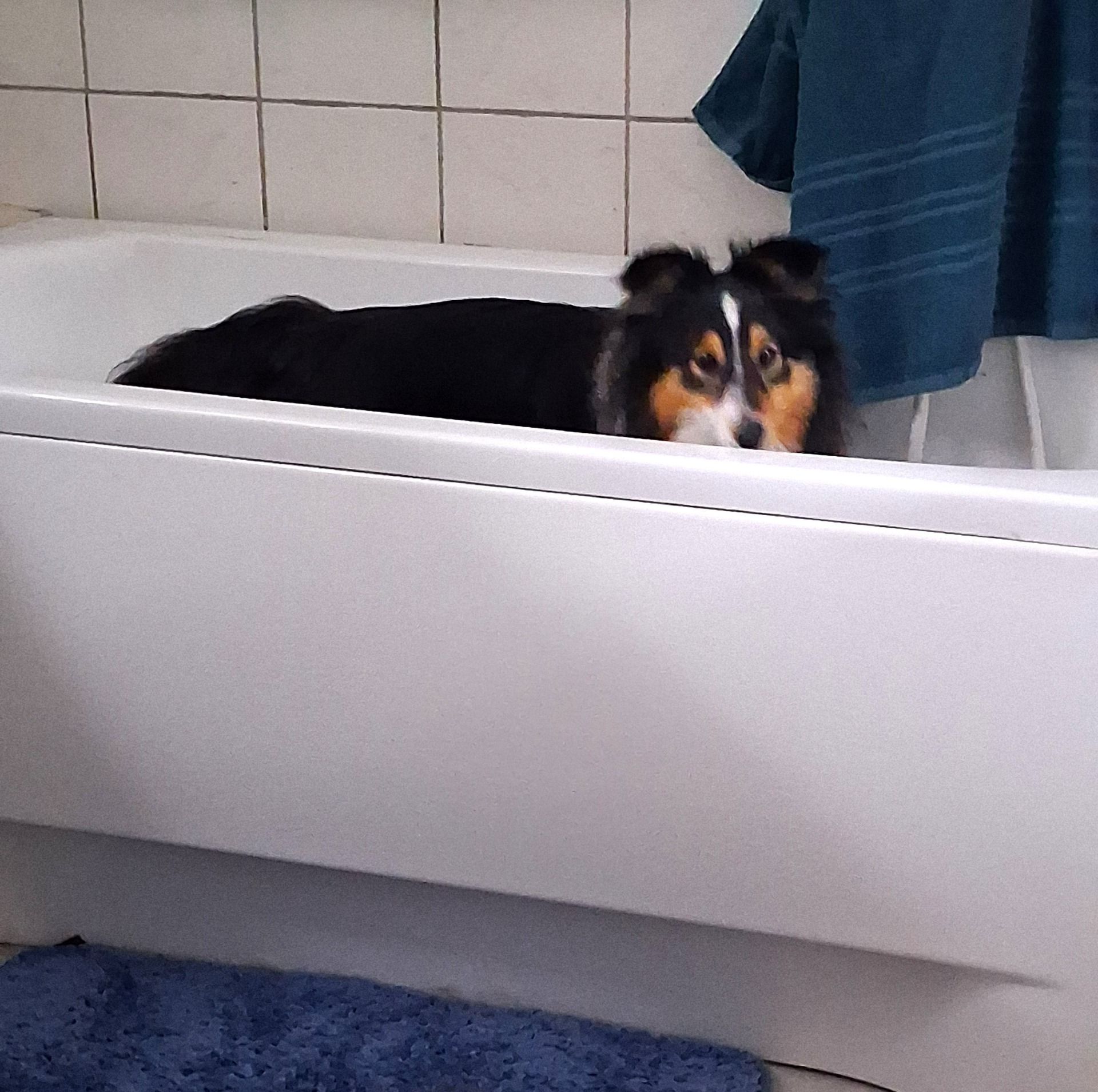 Hoppsan! Sonja råkade hoppa ner i badkaret!