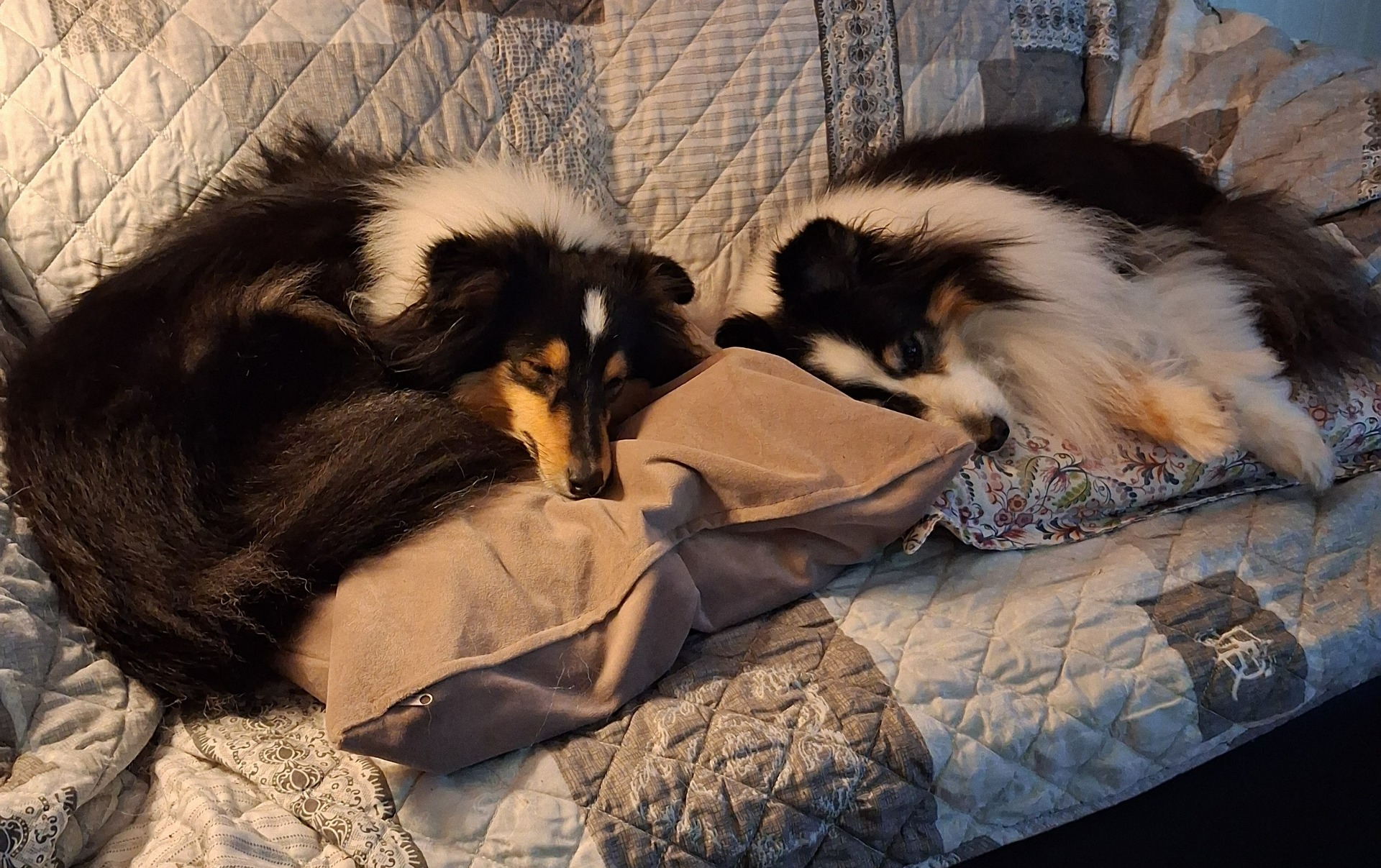 Skönt ibland med lite mys i soffan
